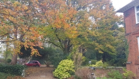 20201106_095003