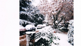 dorothys-snow-scenes-004
