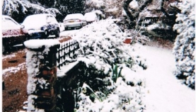 dorothys-snow-scenes-005