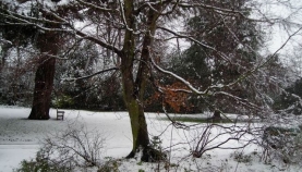 dscn0052