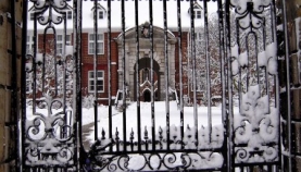 wren-gate-snow